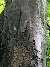 63603069-D1B0-465F-BA32-4AAC672E41C4.webp 63603069-D1B0-465F-BA32-4AAC672E41C4.webp