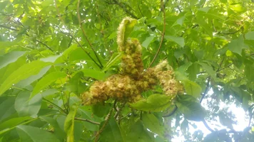 20180520_160525.webp 20180520_160525.webp