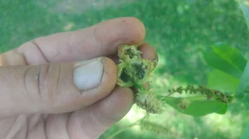 20180520_160136.webp 20180520_160136.webp