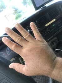 IMG_4453.webp IMG_4453.webp