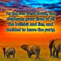 Elephants-Leave-Party.webp