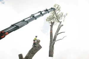 2018-06-20 10.39.34.webp