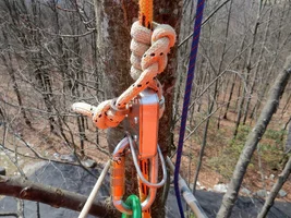 23593712_1341027542672979_1170720612656247383_o.webp 23593712_1341027542672979_1170720612656247383_o.webp