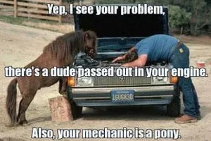 pony-mechanic.webp