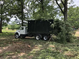 2018-05-31 13.26.41.webp