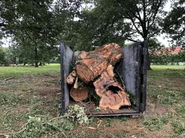 2018-05-31 13.51.48.webp