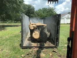 2018-06-01 14.21.39.webp