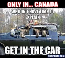 Funny-Only-In-Pictures-Canada.webp
