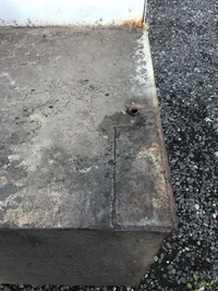 IMG_5669.webp IMG_5669.webp