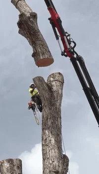 2018-07-12 17.33.32.webp