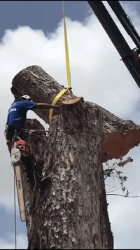 2018-07-13 22.40.45.webp