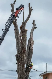 2018-07-14 12.54.17.webp