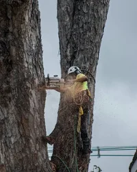 2018-07-15 12.45.33.webp