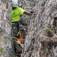 2018-07-15 12.45.08.webp