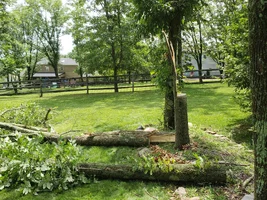 INtentional split another small ash rolled off.webp