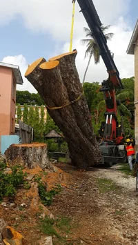 2018-07-19 19.09.37.webp