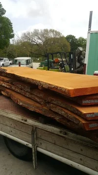 2018-07-19 19.43.10.webp