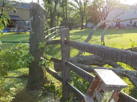 ash throw over fence.webp