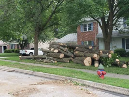 log pile.webp