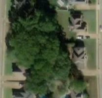 Satellite Image.webp