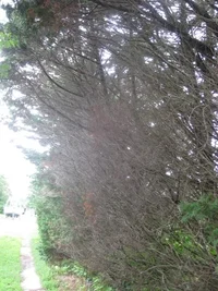 IMG_2633.webp IMG_2633.webp