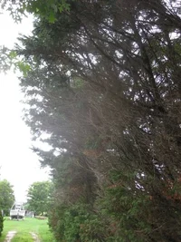 IMG_2635.webp IMG_2635.webp