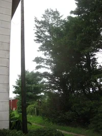 IMG_2636.webp IMG_2636.webp