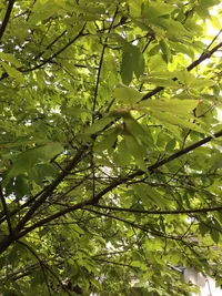 0B84FF19-9EA8-44C5-B29A-80AAD65FFE4B.webp 0B84FF19-9EA8-44C5-B29A-80AAD65FFE4B.webp