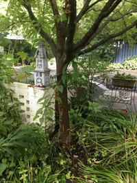 836CA323-7E8C-4FB0-B7B5-9EBC18059F84.webp 836CA323-7E8C-4FB0-B7B5-9EBC18059F84.webp