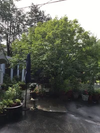 9C25E9D6-FEA6-4682-9E3A-79EB25664646.webp 9C25E9D6-FEA6-4682-9E3A-79EB25664646.webp