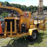 Chipper Photo 1.webp