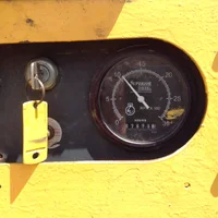 Chipper Photo 2.webp