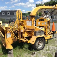 Chipper Photo 3.webp