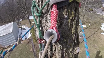 Bend Right Ring.webp