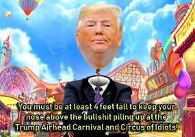 airhead-trump.webp