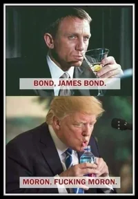 bond-moron.webp