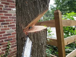 lazy open face 1.webp