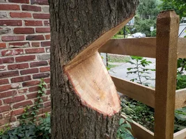 lazy open face 2.webp