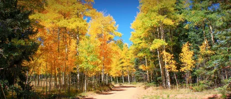 September 16 Autumn Colours Garcia Park FR 437_Shared Full Permission.webp