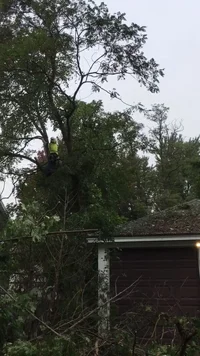 image_123986672 (1).webp