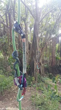 2018-10-15 21.47.54.webp