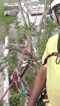 2018-10-16 22.34.35.webp