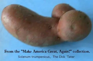 dick-tater.webp