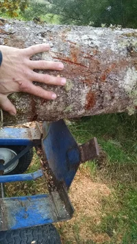 IMG_20181020_153330145.webp IMG_20181020_153330145.webp