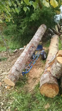 IMG_20181020_153358159.webp IMG_20181020_153358159.webp