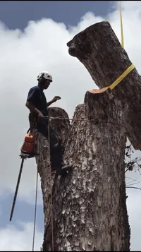 2018-10-21 20.45.57.webp