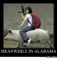 MEANWHILE-IN-ALABAMA_o_96666.webp