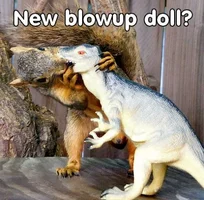 squirrel-kiss.webp