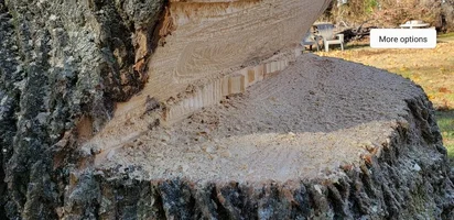 plate cut before cleaning.webp