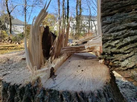 plate cut finish.webp